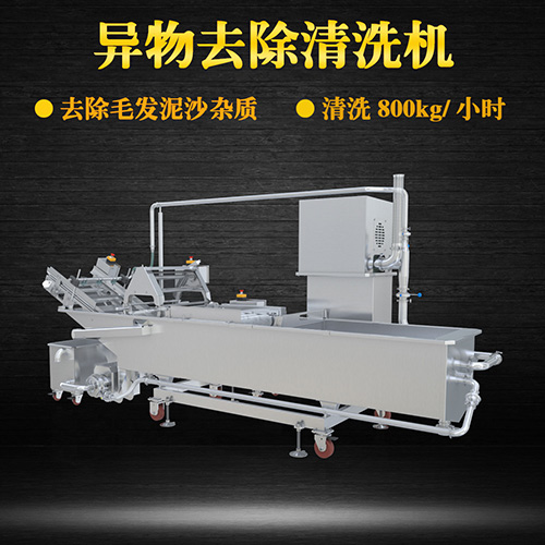 果蔬氣泡翻洗機，有效清洗，過濾泥沙